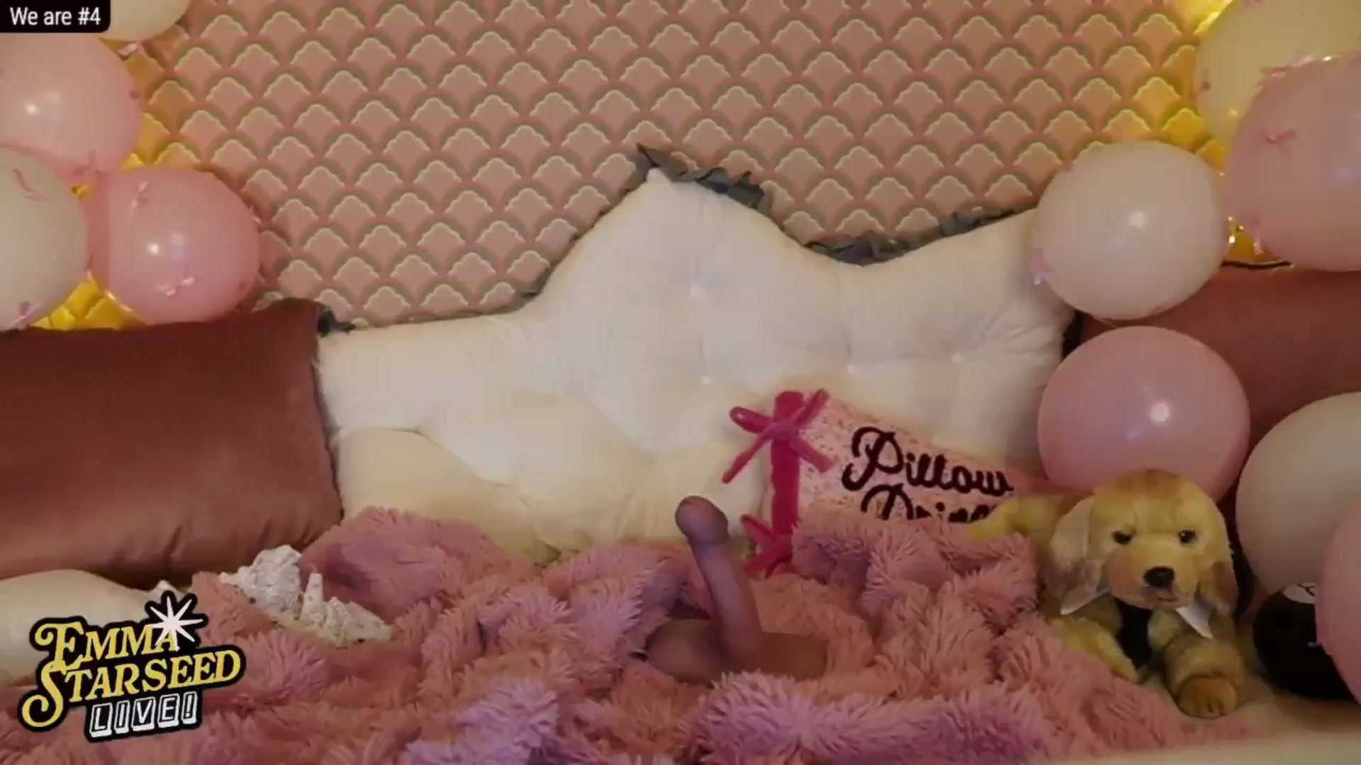 Gallery image thumbnail from EmmaStarseed's myfreecams stream on, 02/26/2026, 08:11 image 9 of 20