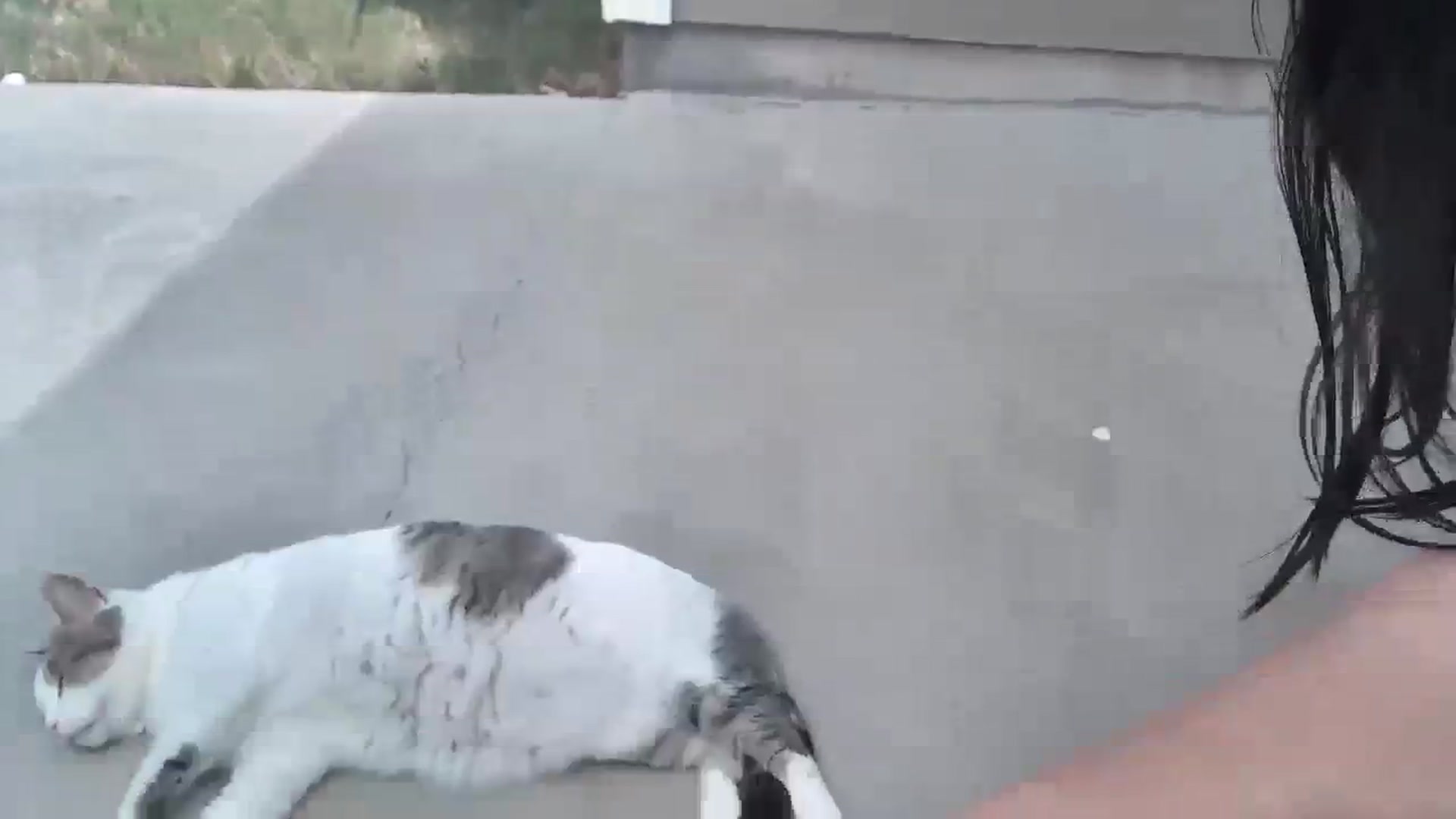 Gallery image thumbnail from EmmaStone4's myfreecams stream on, 10/12/2023, 19:46 image 14 of 20
