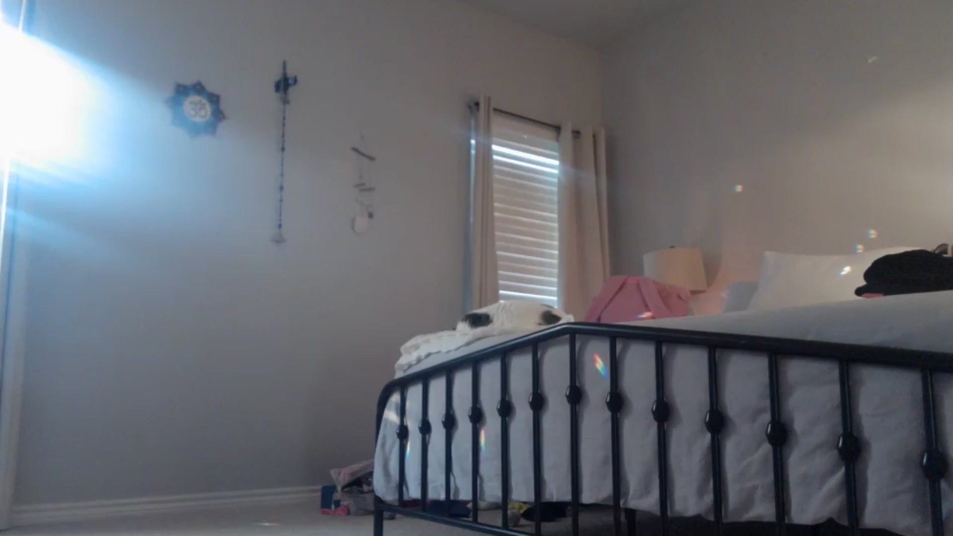 Gallery image thumbnail from EmmaStone4's myfreecams stream on, 07/11/2024, 24:49 image 17 of 20