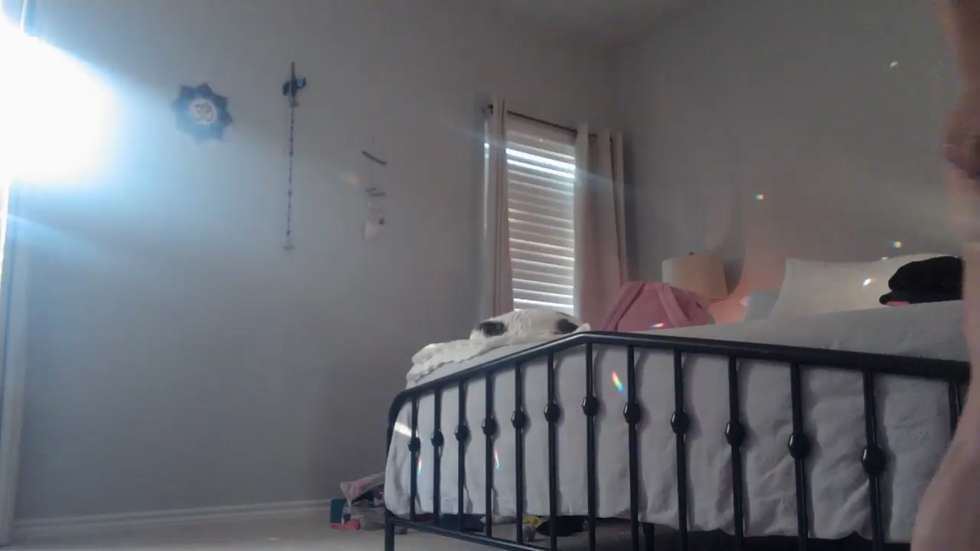 Gallery image thumbnail from EmmaStone4's myfreecams stream on, 07/11/2024, 24:49 image 15 of 20