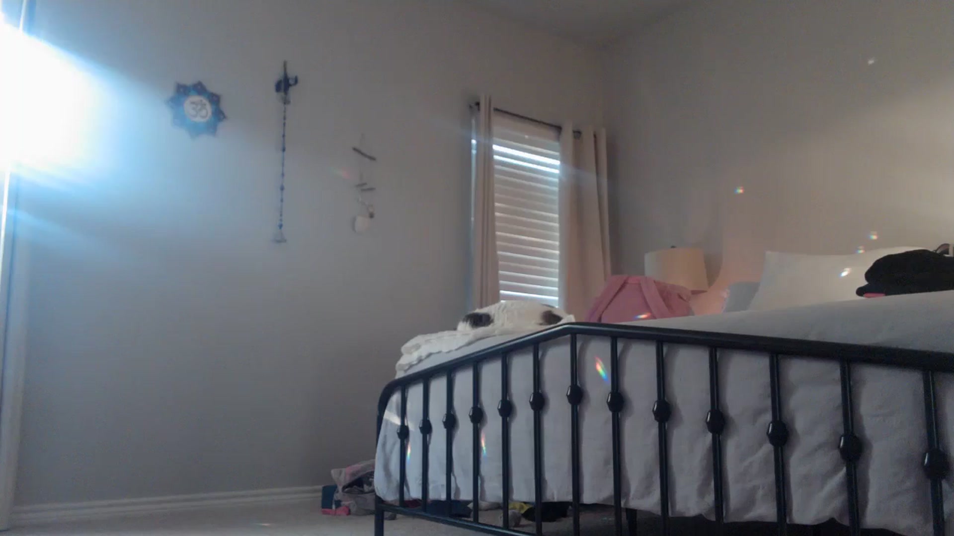 Gallery image thumbnail from EmmaStone4's myfreecams stream on, 07/11/2024, 24:49 image 16 of 20