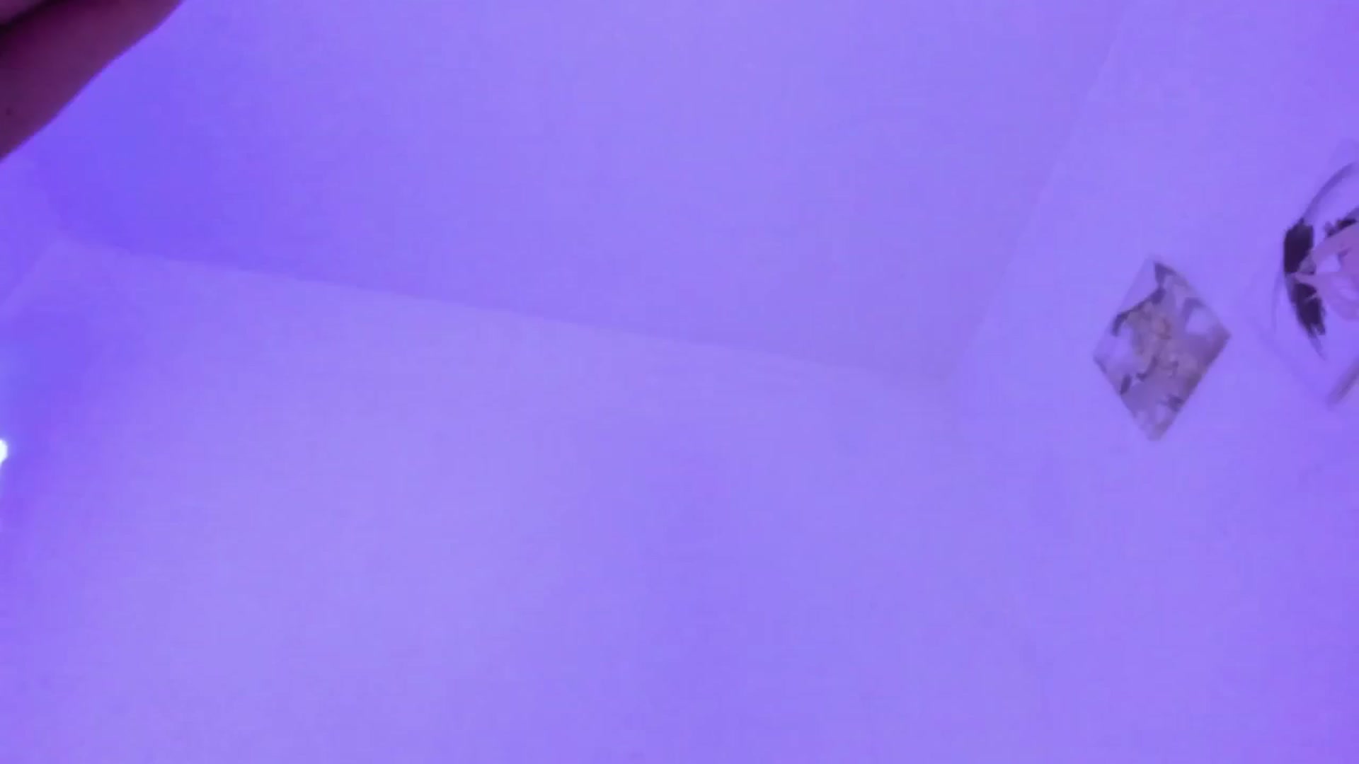 Gallery image thumbnail from Emma_19_'s myfreecams stream on, 08/15/2025, 04:43 image 13 of 20