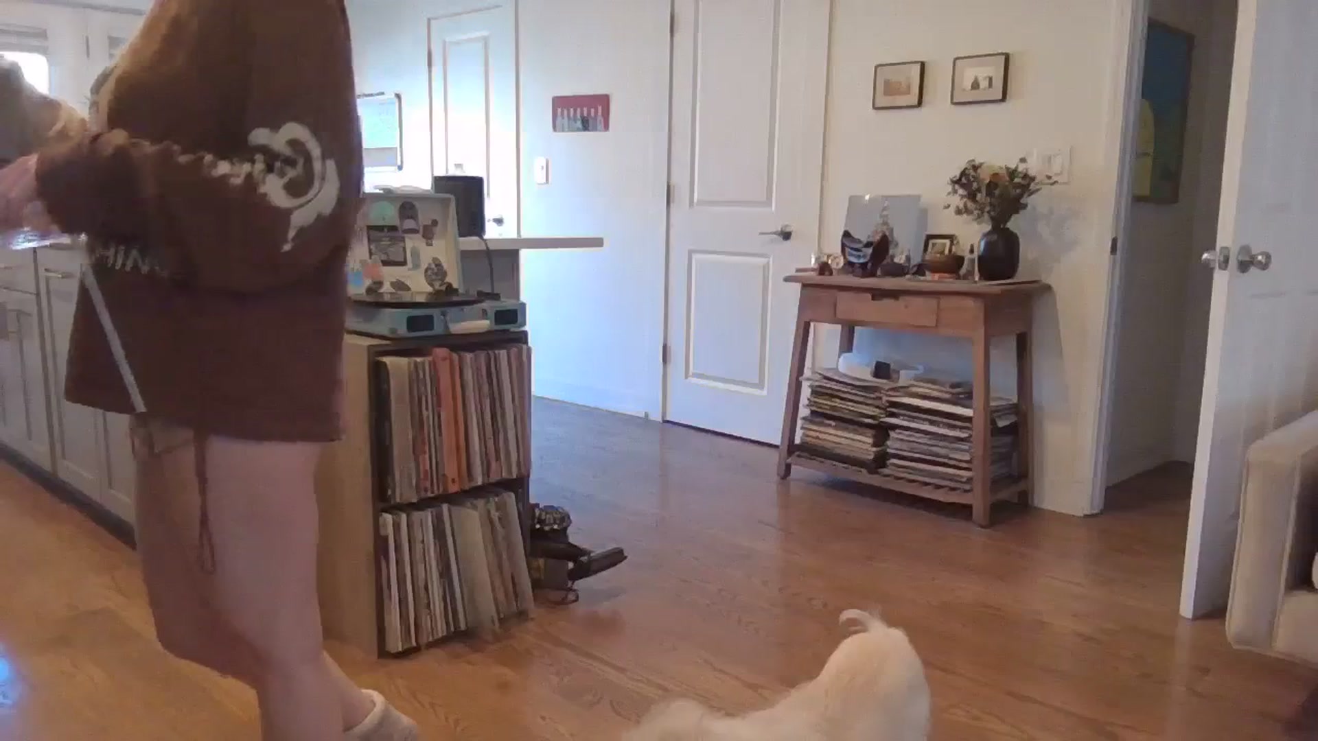 Gallery image thumbnail from EmmalineLime's myfreecams stream on, 03/20/2024, 20:10 image 2 of 20