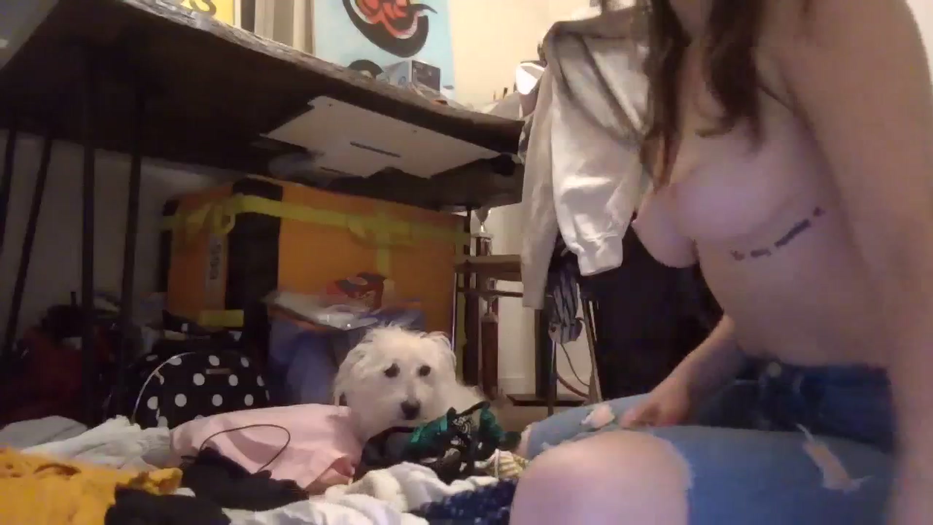 Gallery image thumbnail from EmmalineLime's myfreecams stream on, 03/24/2024, 06:32 image 3 of 20