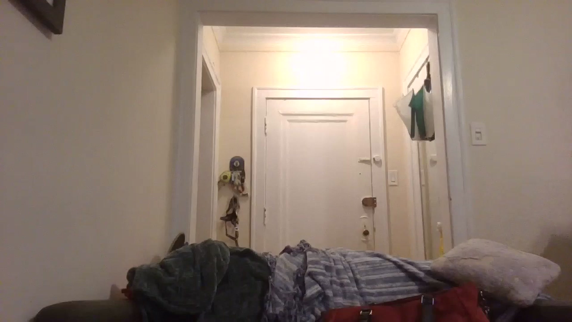 Gallery image thumbnail from EmmalineLime's myfreecams stream on, 04/18/2024, 06:36 image 20 of 20