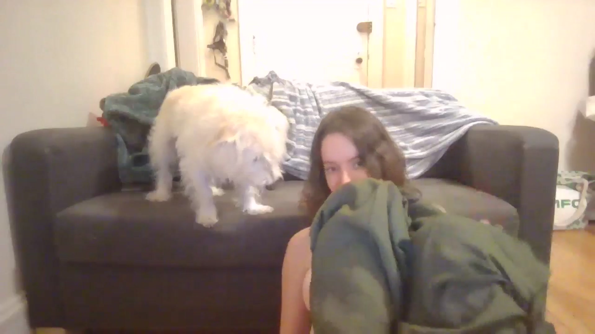 Gallery image thumbnail from EmmalineLime's myfreecams stream on, 04/18/2024, 06:36 image 5 of 20