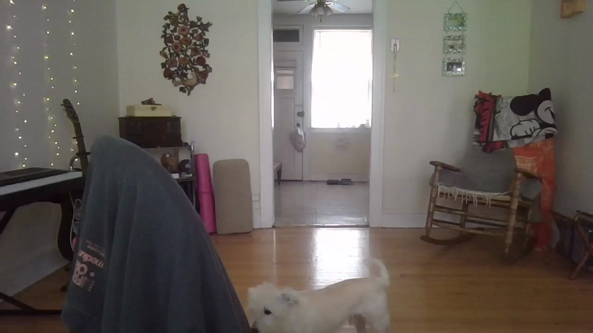 Gallery image thumbnail from EmmalineLime's myfreecams stream on, 07/27/2024, 19:38 image 4 of 20