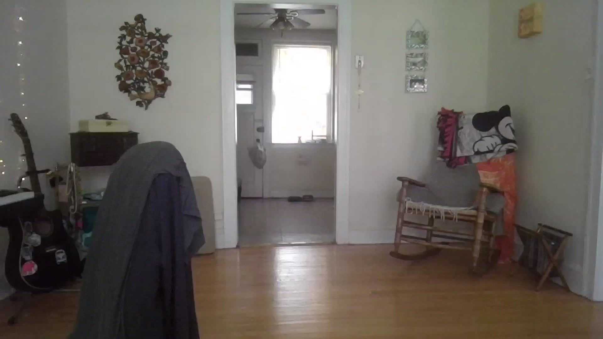 Gallery image thumbnail from EmmalineLime's myfreecams stream on, 07/27/2024, 20:42 image 8 of 20