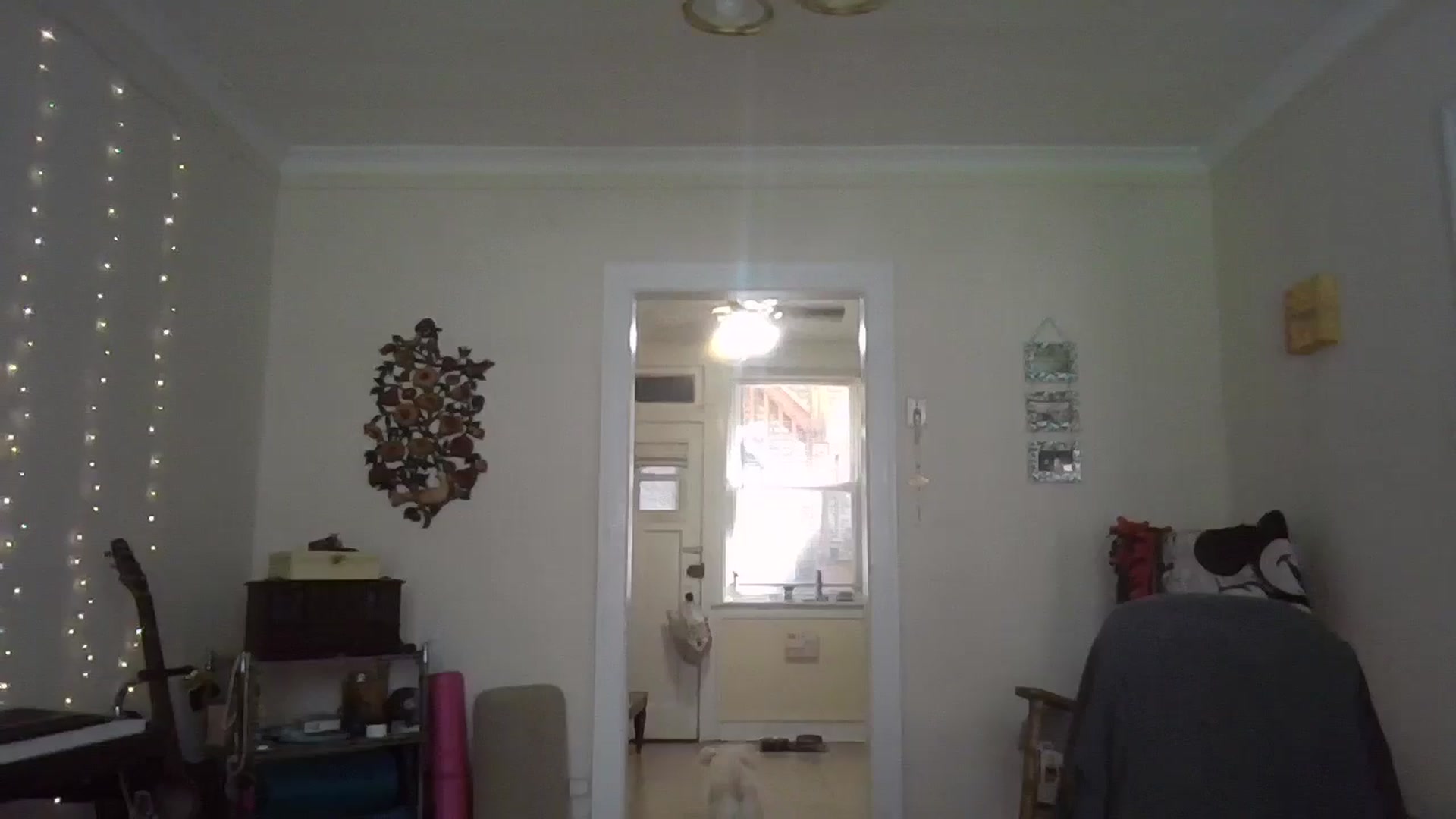Gallery image thumbnail from EmmalineLime's myfreecams stream on, 07/30/2024, 21:20 image 1 of 20