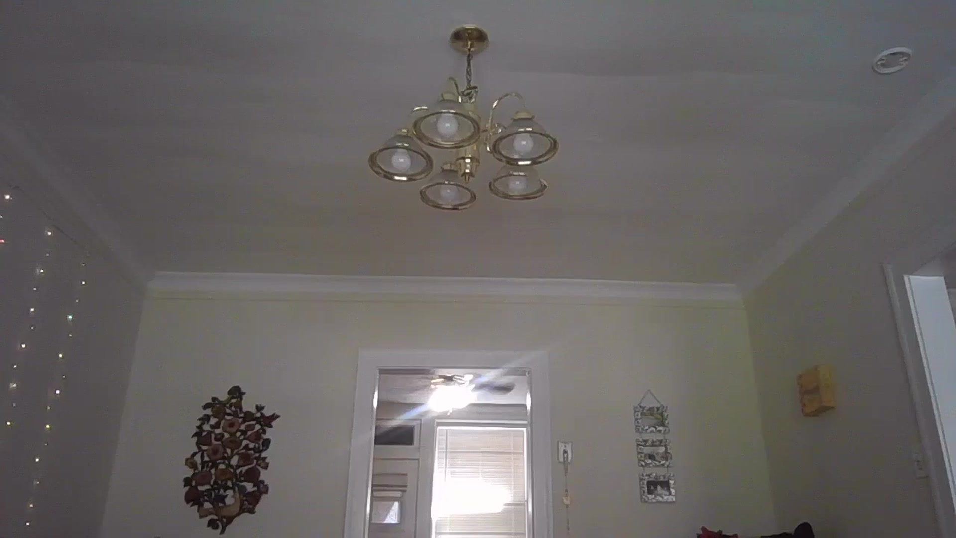 Gallery image thumbnail from EmmalineLime's myfreecams stream on, 08/02/2024, 20:12 image 1 of 20