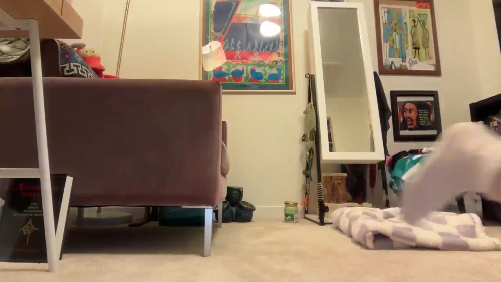 Gallery image thumbnail from EmmalineLime's myfreecams stream on, 10/28/2025, 05:11 image 14 of 20