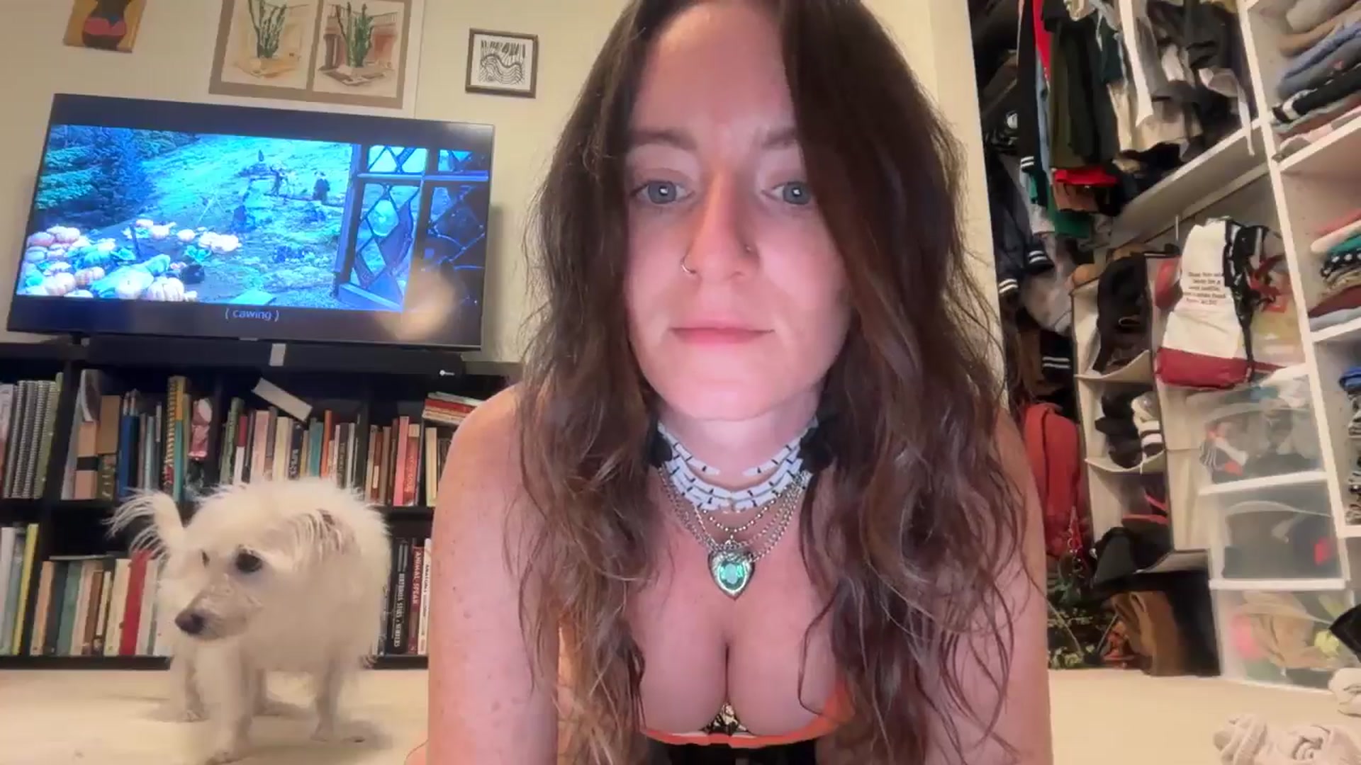 Gallery image thumbnail from EmmalineLime's myfreecams stream on, 11/01/2025, 24:55 image 5 of 20