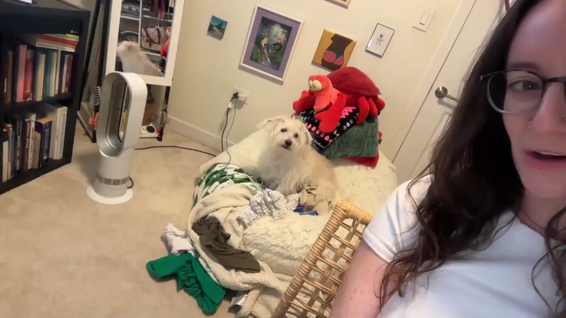 Gallery image thumbnail from EmmalineLime's myfreecams stream on, 01/23/2026, 05:47 image 1 of 20