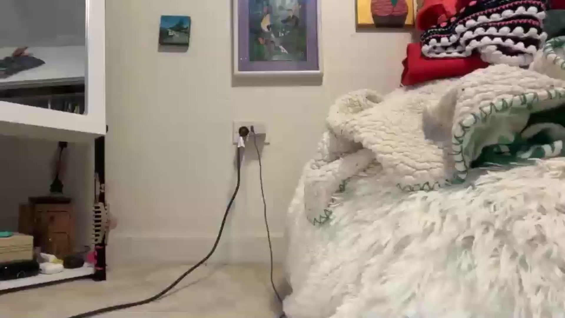 Gallery image thumbnail from EmmalineLime's myfreecams stream on, 02/01/2026, 10:58 image 2 of 20