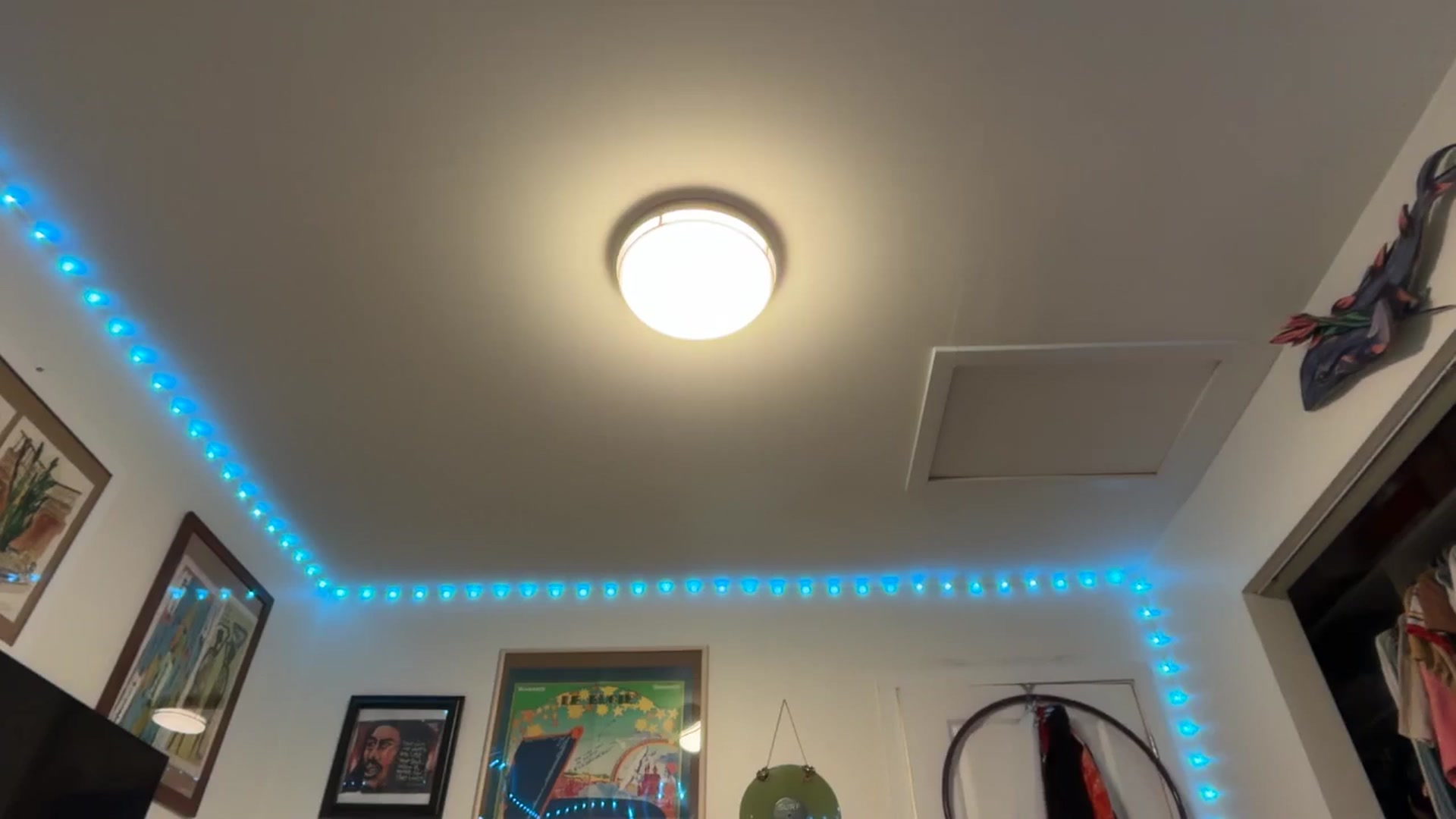 Gallery image thumbnail from EmmalineLime's myfreecams stream on, 05/01/2026, 05:55 image 12 of 20