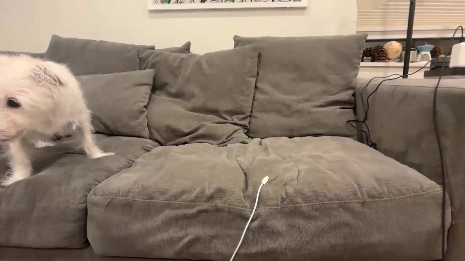 Gallery image thumbnail from EmmalineLime's myfreecams stream on, 05/26/2026, 03:47 image 4 of 20