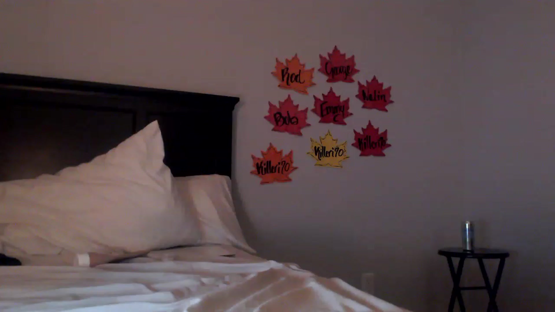 Gallery image thumbnail from EmmyLove's myfreecams stream on, 11/19/2022, 06:29 image 15 of 20