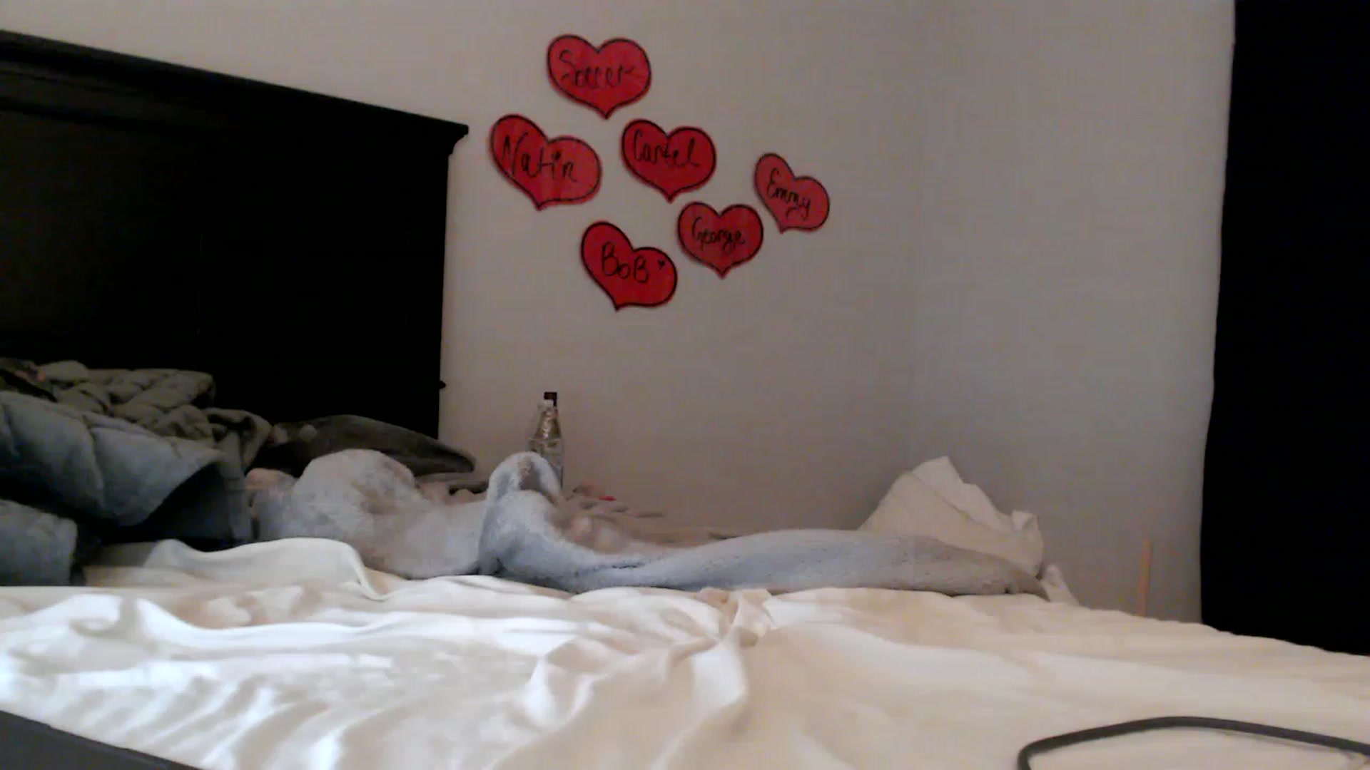 Gallery image thumbnail from EmmyLove's myfreecams stream on, 02/03/2023, 07:40 image 14 of 20