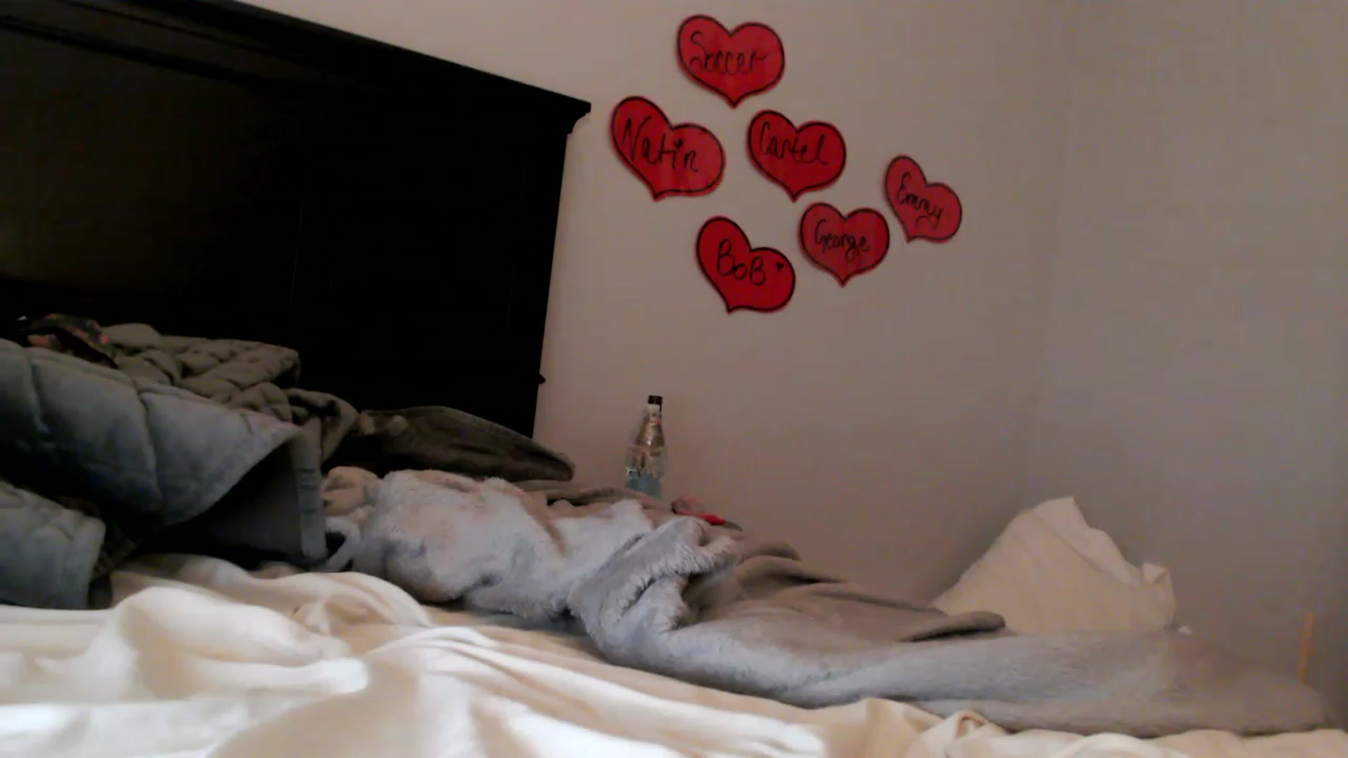 Gallery image thumbnail from EmmyLove's myfreecams stream on, 02/03/2023, 07:40 image 19 of 20