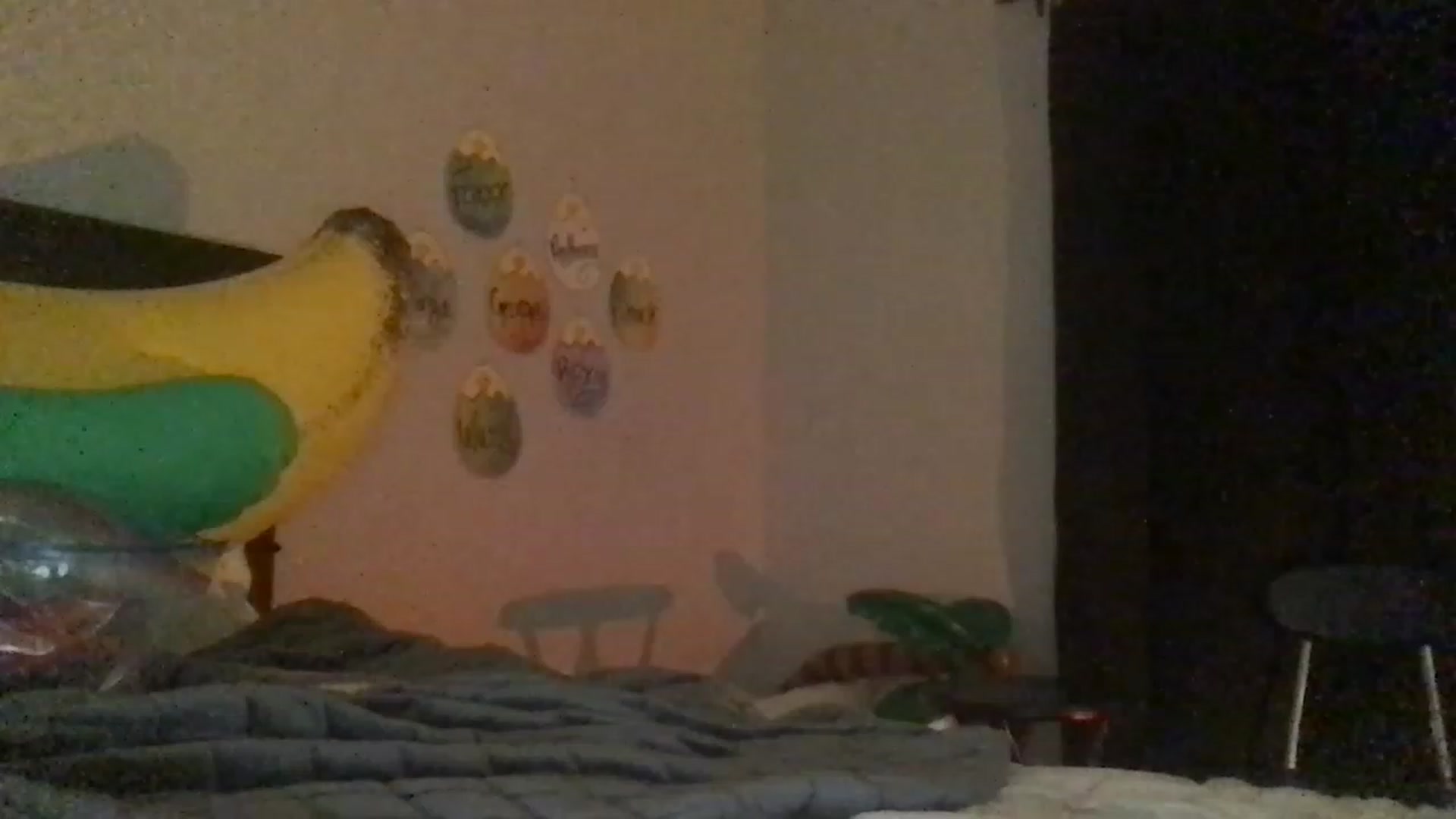 Gallery image thumbnail from EmmyLove's myfreecams stream on, 04/12/2023, 05:40 image 18 of 20