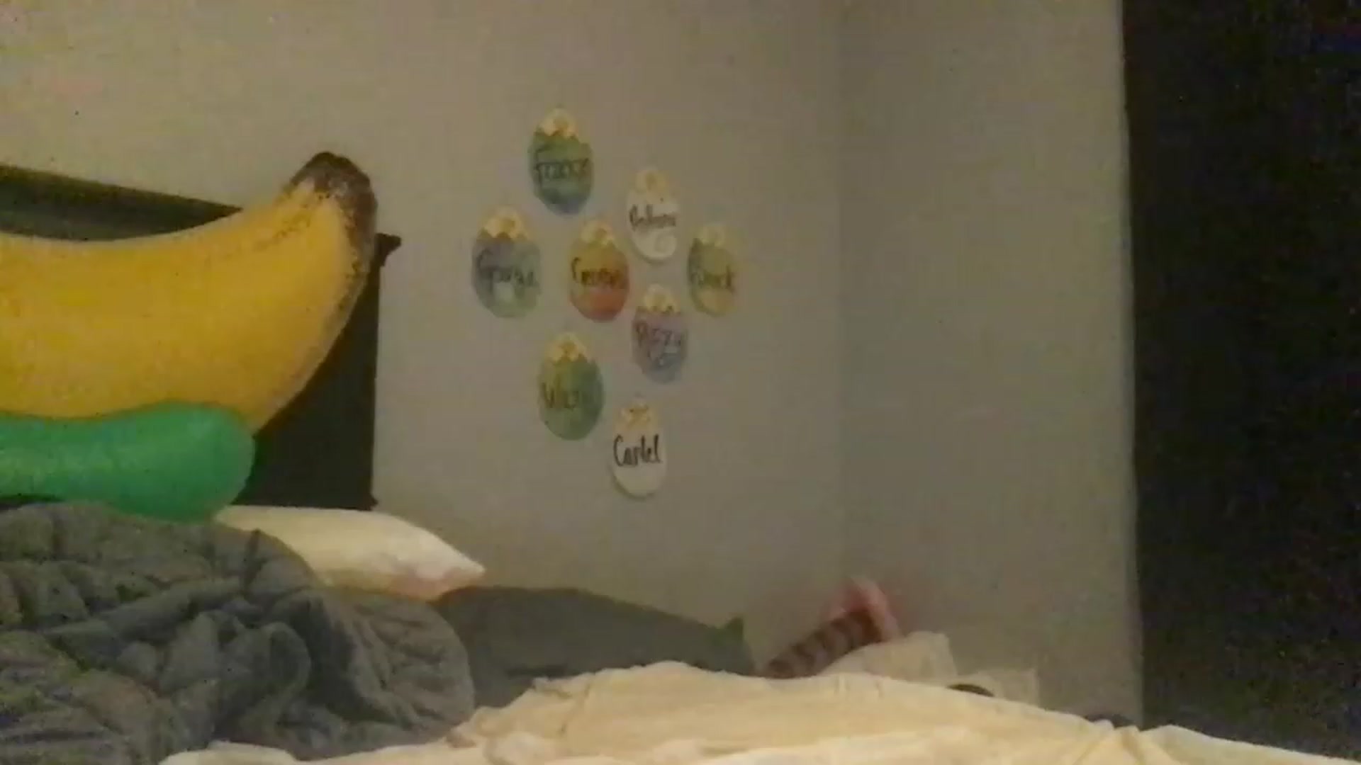 Gallery image thumbnail from EmmyLove's myfreecams stream on, 04/25/2023, 06:08 image 5 of 20