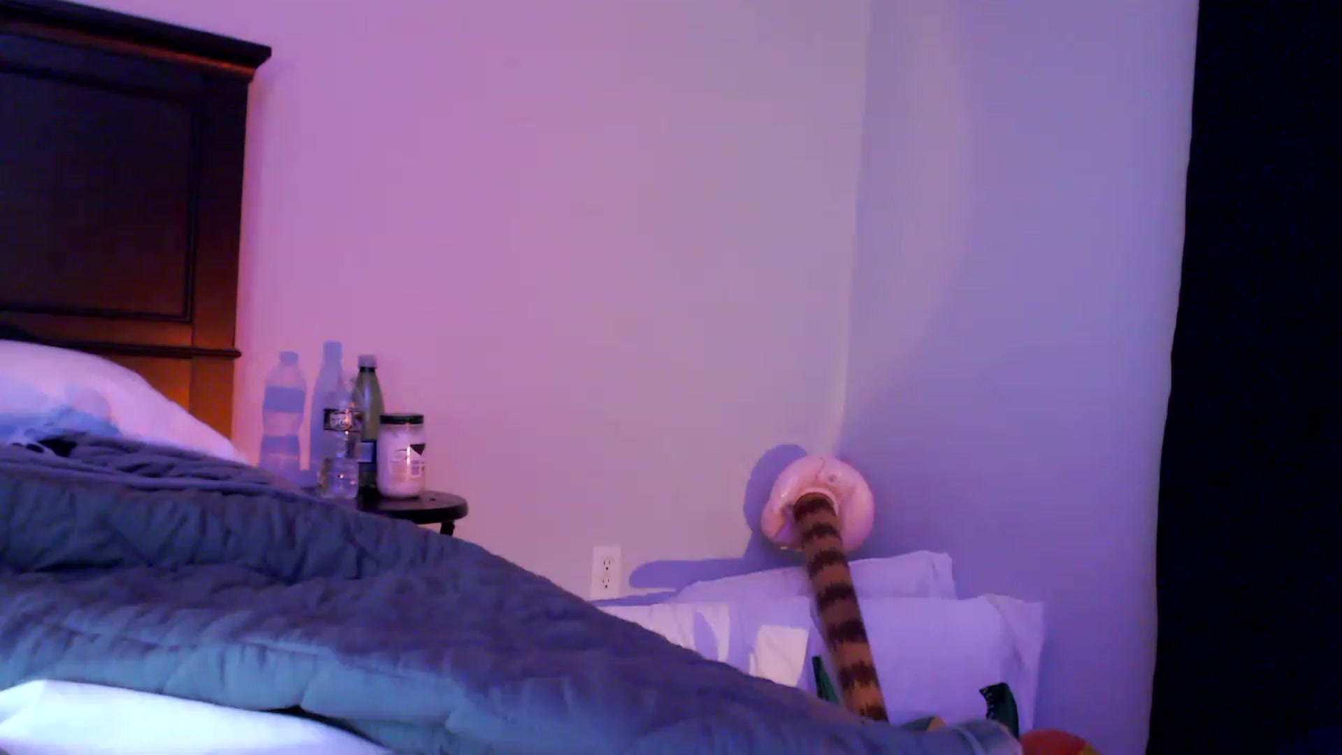 Gallery image thumbnail from EmmyLove's myfreecams stream on, 05/06/2023, 07:19 image 10 of 20