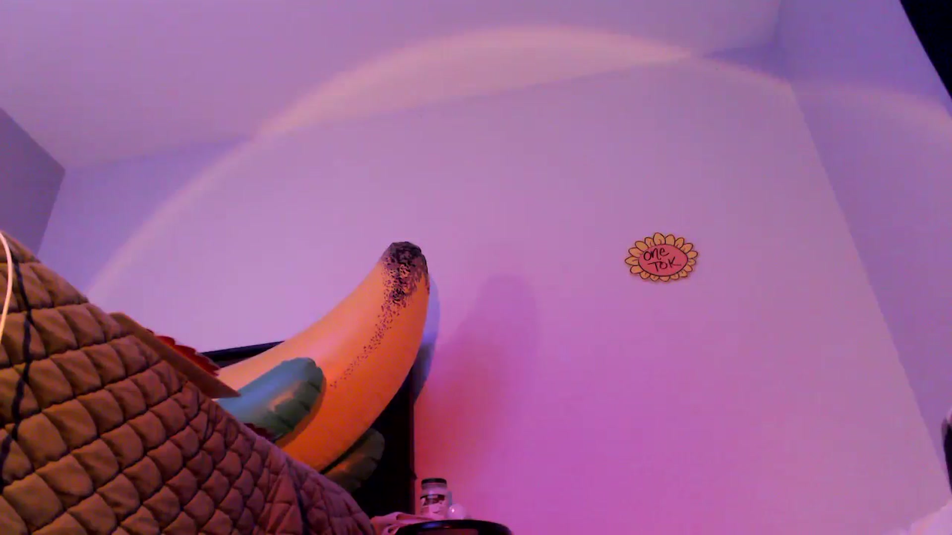 Gallery image thumbnail from EmmyLove's myfreecams stream on, 08/10/2023, 05:16 image 11 of 20