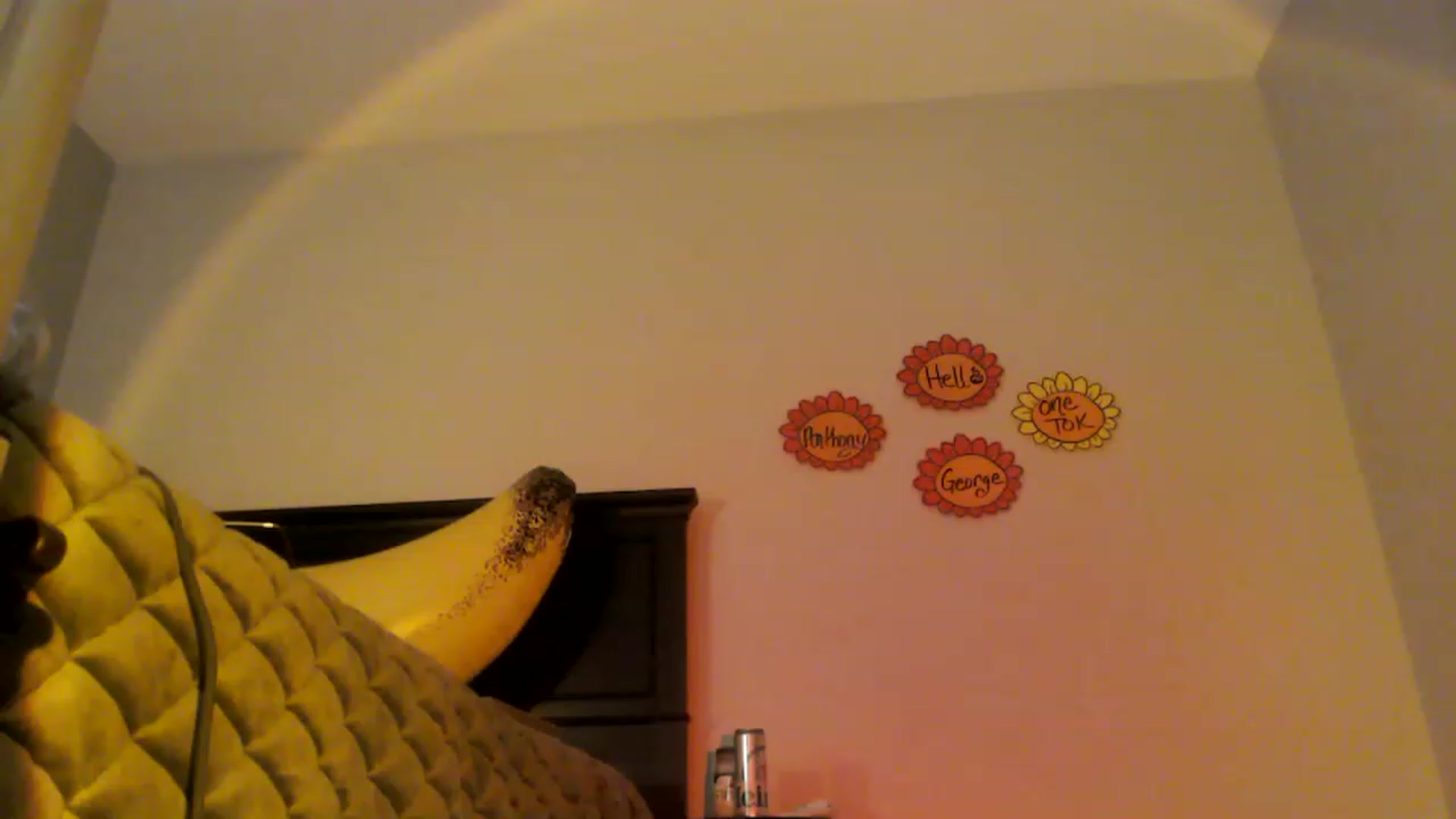 Gallery image thumbnail from EmmyLove's myfreecams stream on, 08/16/2023, 07:03 image 20 of 20