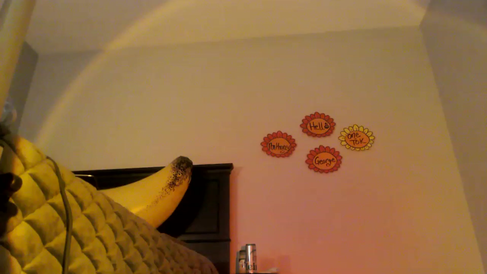 Gallery image thumbnail from EmmyLove's myfreecams stream on, 08/16/2023, 07:03 image 14 of 20