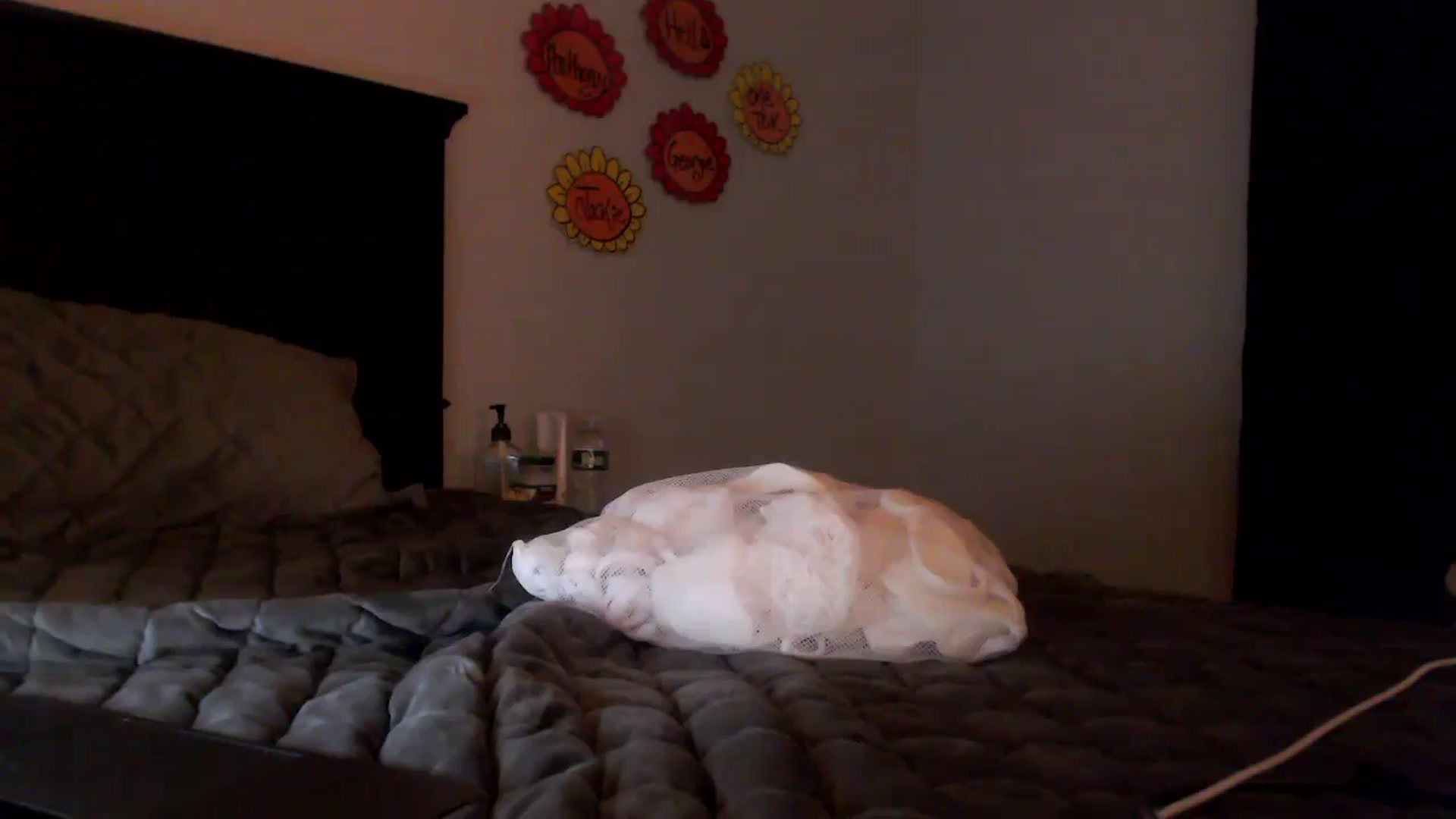 Gallery image thumbnail from EmmyLove's myfreecams stream on, 08/23/2023, 06:07 image 16 of 20