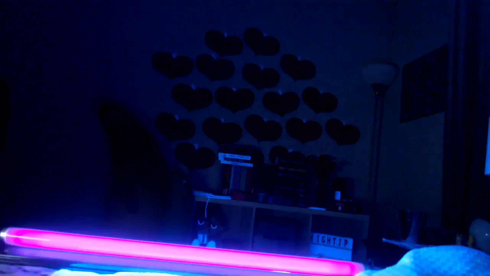 Gallery image thumbnail from EmmyLove's myfreecams stream on, 02/24/2024, 08:33 image 20 of 20
