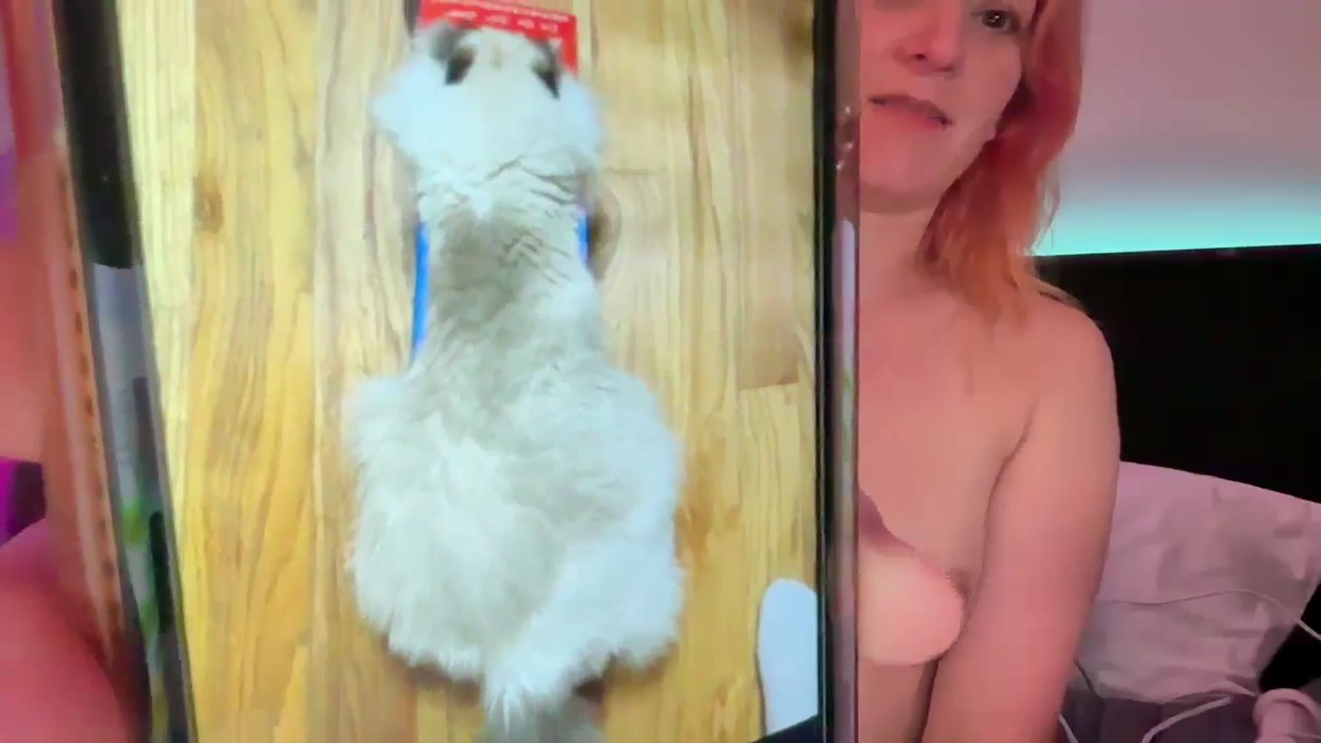 Gallery image thumbnail from EmmyLove's myfreecams stream on, 07/16/2024, 06:05 image 15 of 20