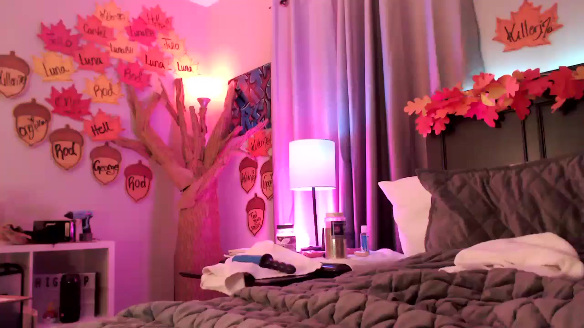 Gallery image thumbnail from EmmyLove's myfreecams stream on, 11/30/2024, 08:41 image 19 of 20