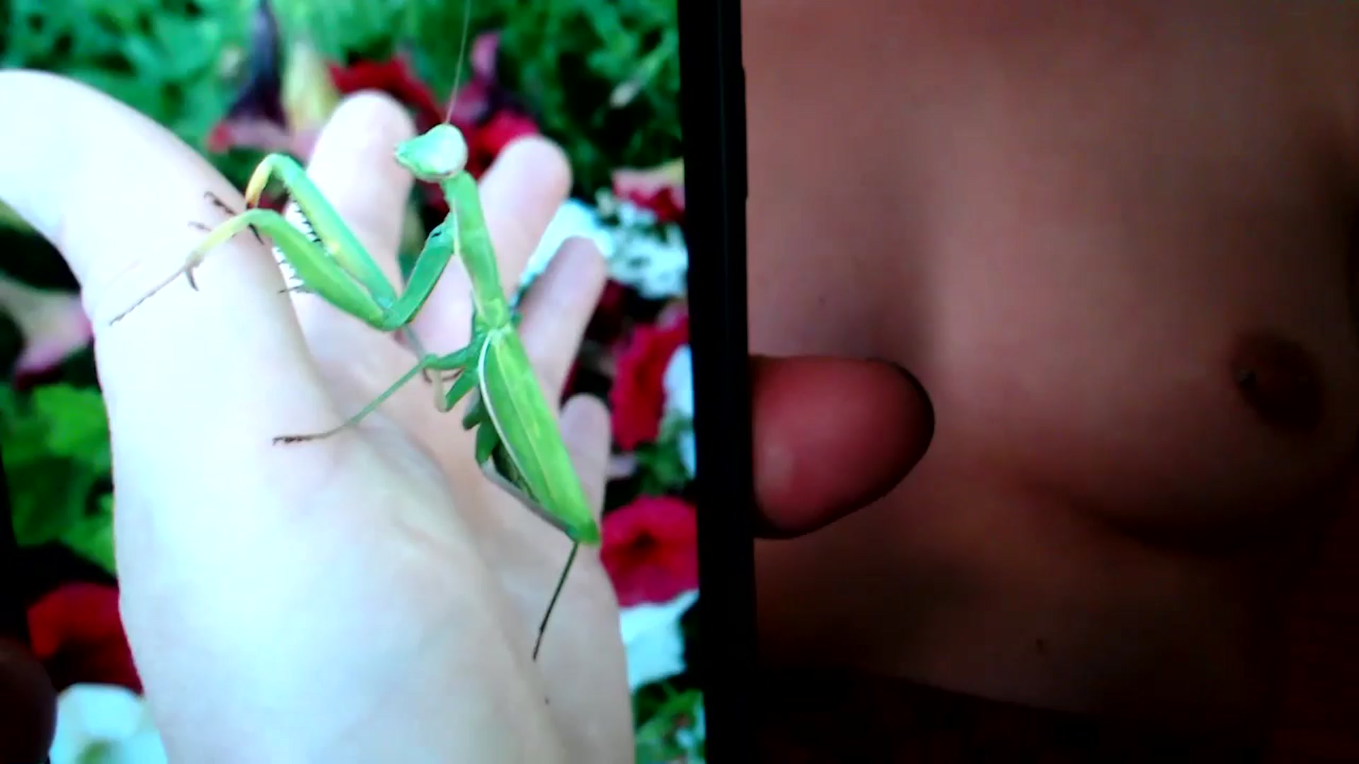 Gallery image thumbnail from EmmyLove's myfreecams stream on, 09/25/2025, 06:16 image 19 of 20