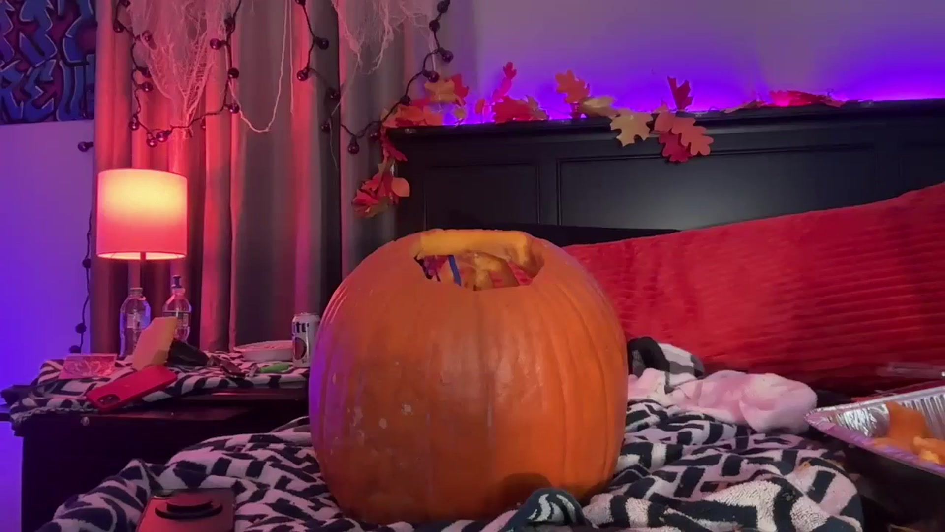Gallery image thumbnail from EmmyLove's myfreecams stream on, 10/25/2025, 07:54 image 19 of 20