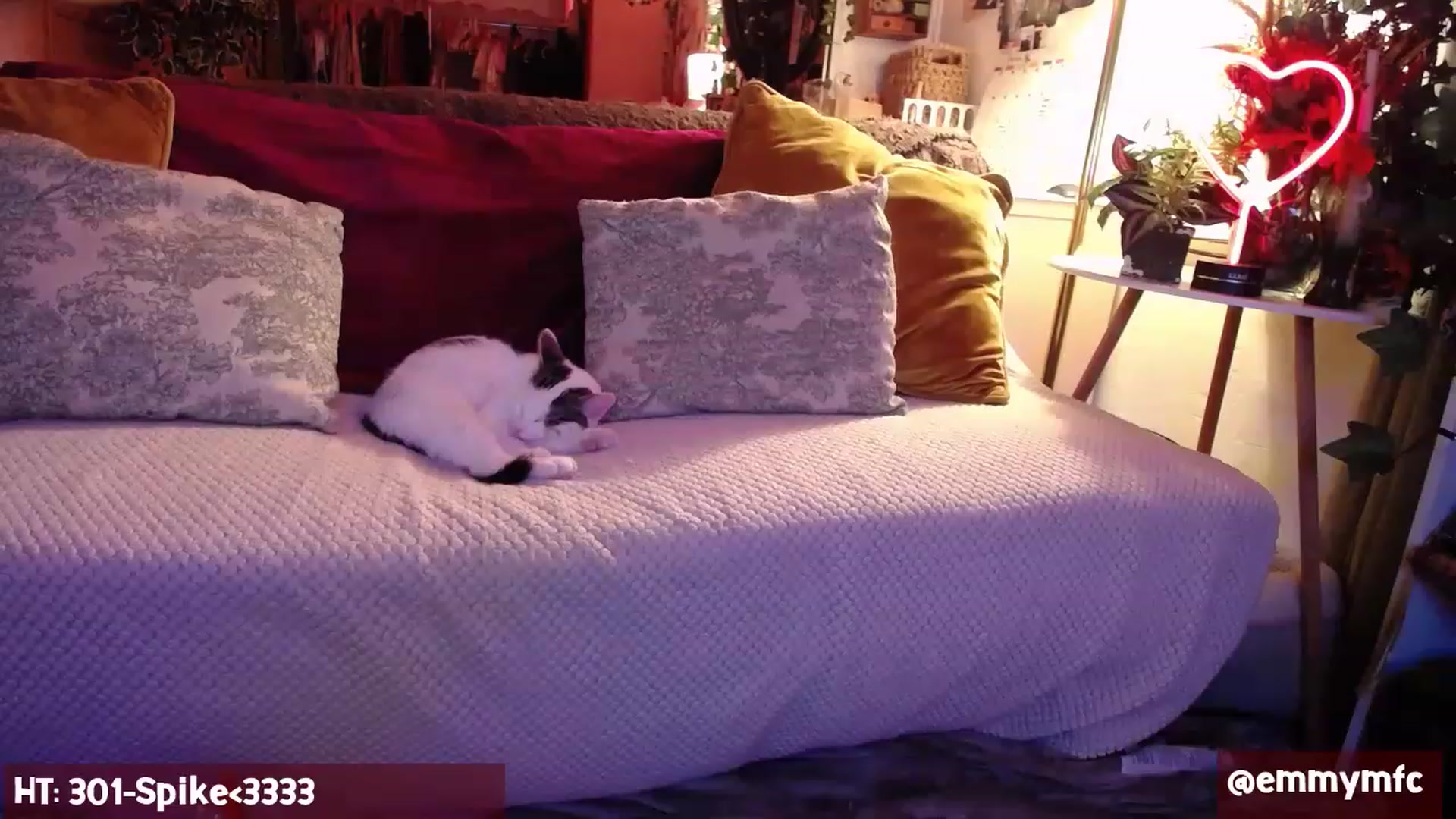 Gallery image thumbnail from Emmy_Rose's myfreecams stream on, 04/09/2023, 24:23 image 13 of 20