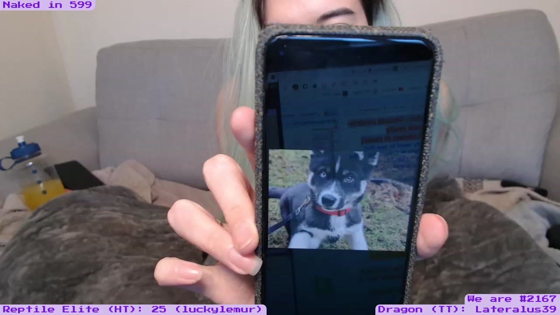 Gallery image thumbnail from EmoSmithers's myfreecams stream on, 01/17/2023, 15:34 image 15 of 20