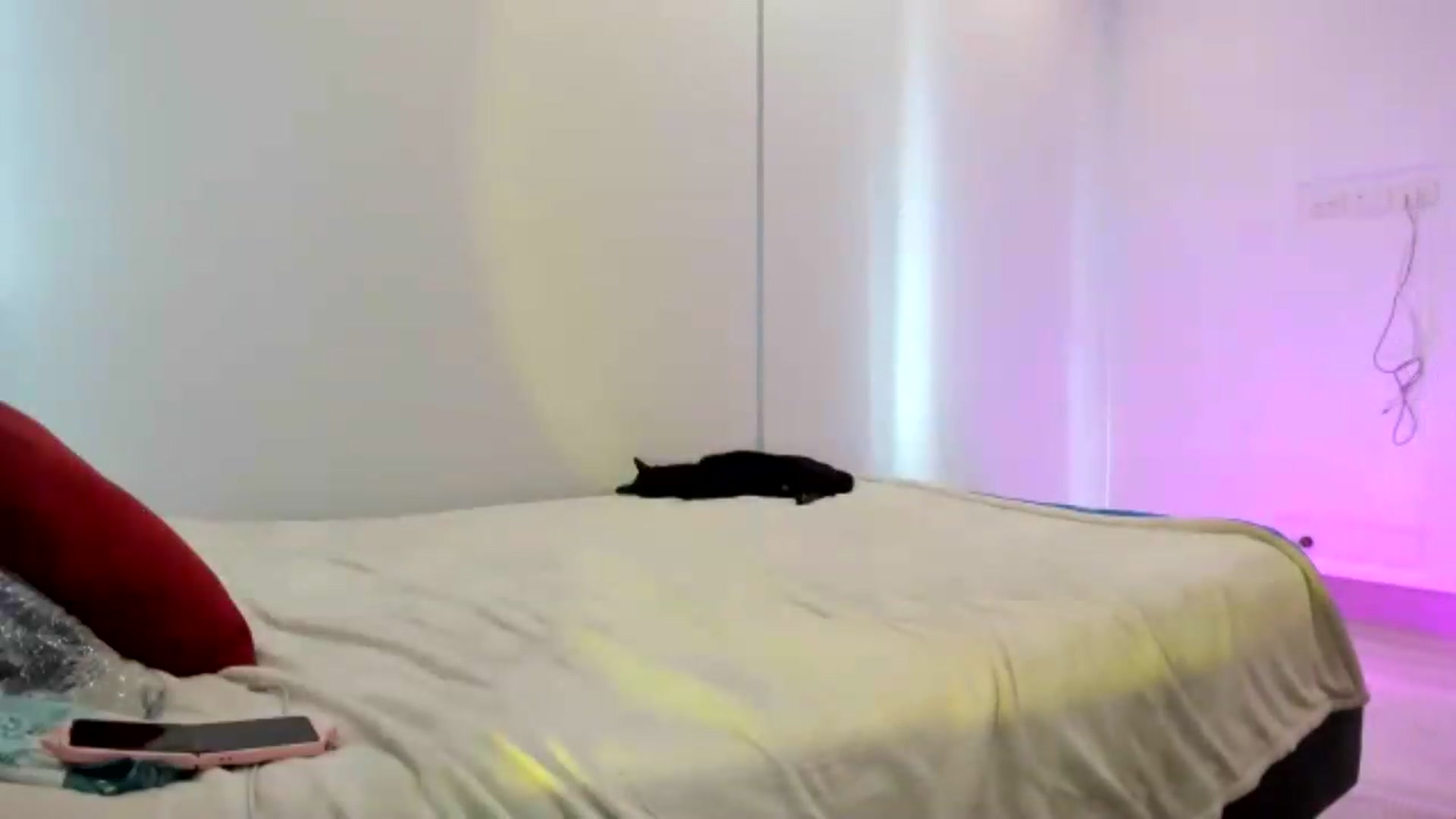 Gallery image thumbnail from Emoon's myfreecams stream on, 09/18/2026, 16:03 image 12 of 20