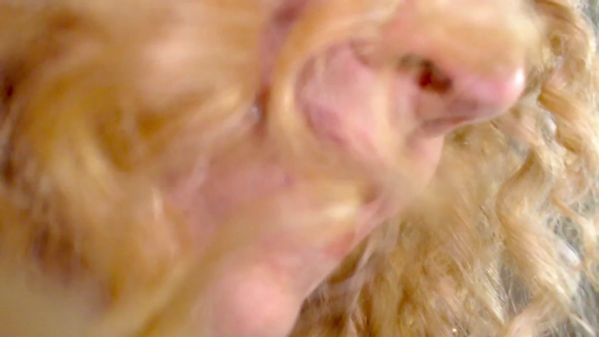 Gallery image thumbnail from Enchanti's myfreecams stream on, 01/17/2026, 17:01 image 8 of 20
