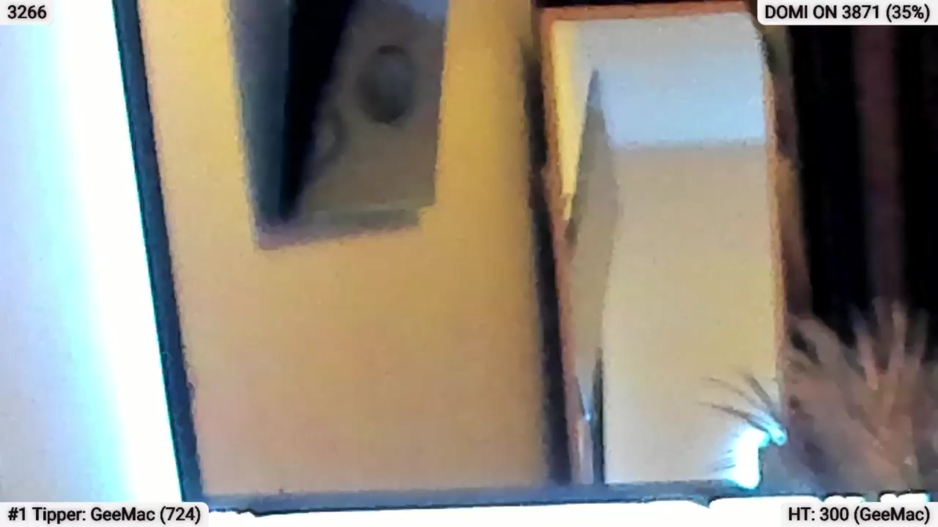 Gallery image thumbnail from EndlesssJoy's myfreecams stream on, 04/11/2024, 06:58 image 2 of 20
