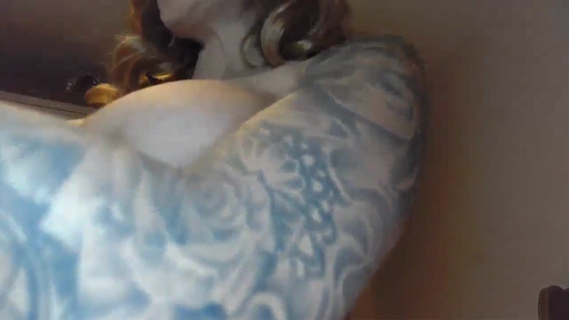 Gallery image thumbnail from EnglishRose3's myfreecams stream on, 02/14/2025, 07:20 image 16 of 20