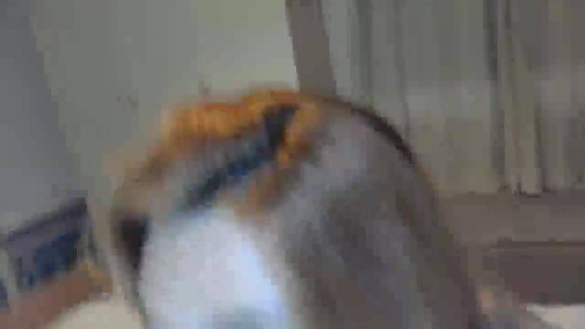 Gallery image thumbnail from EnglishRose3's myfreecams stream on, 03/28/2025, 08:38 image 11 of 20
