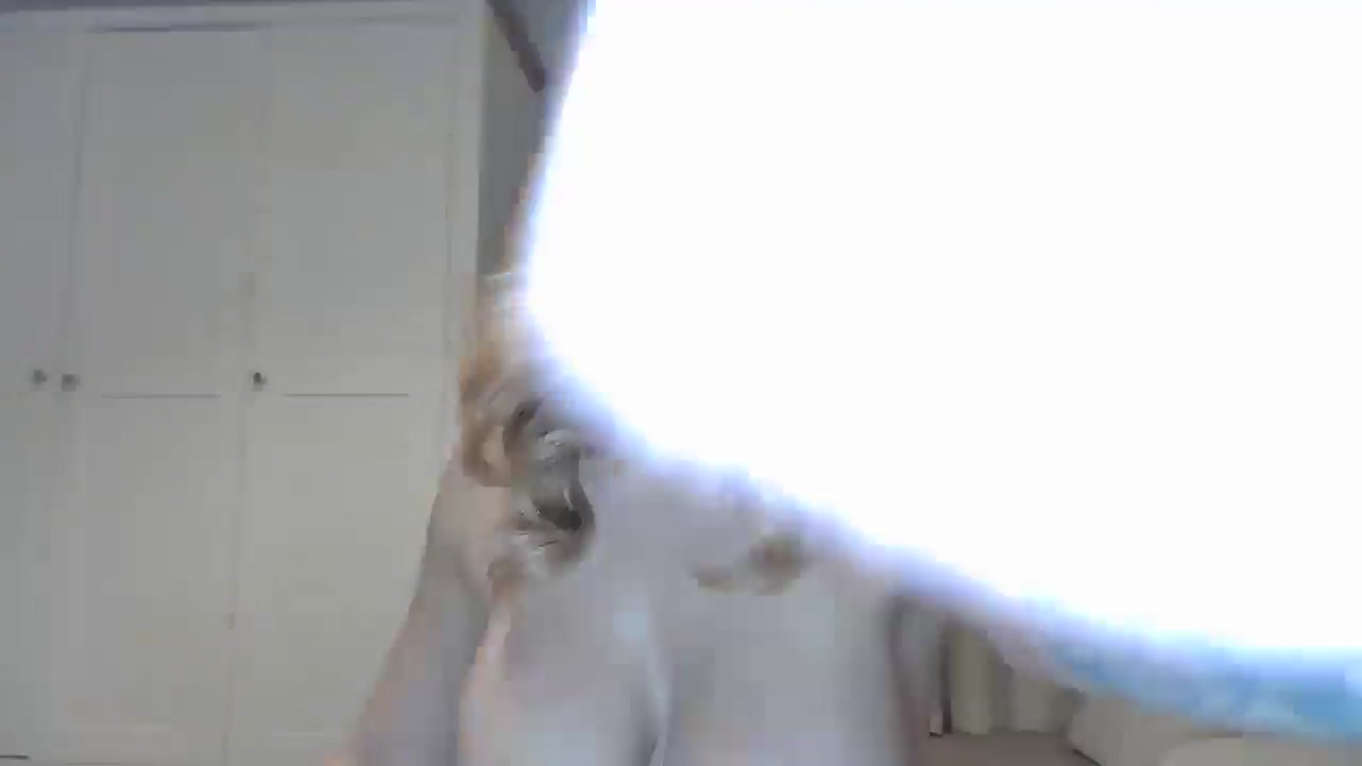 Gallery image thumbnail from EnglishRose3's myfreecams stream on, 06/05/2025, 08:56 image 18 of 20