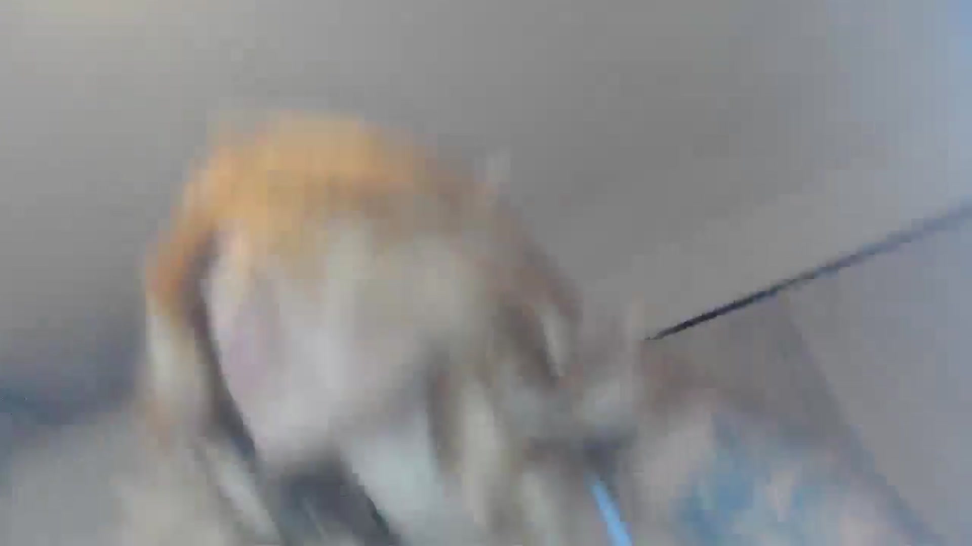 Gallery image thumbnail from EnglishRose3's myfreecams stream on, 07/07/2025, 06:14 image 3 of 20