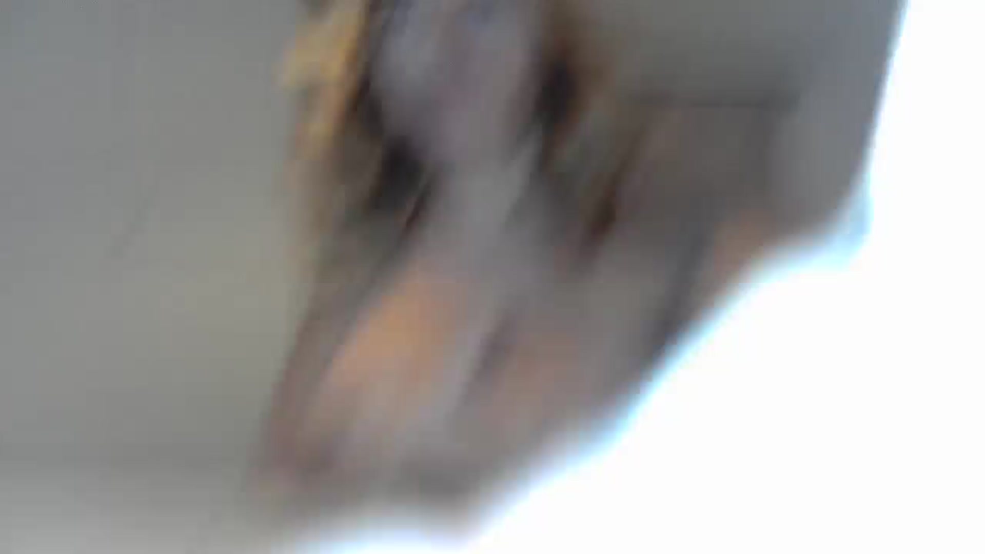 Gallery image thumbnail from EnglishRose3's myfreecams stream on, 09/09/2025, 08:00 image 15 of 20