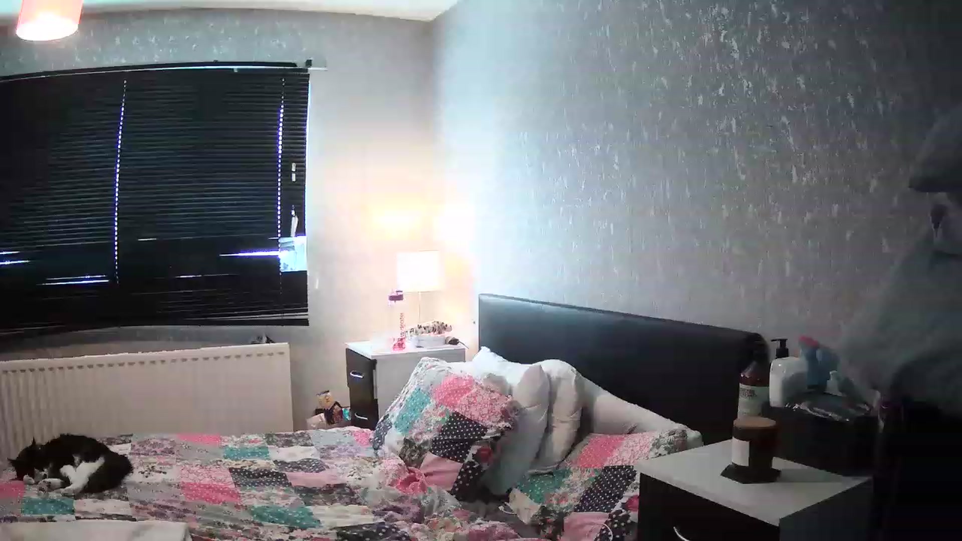 Gallery image thumbnail from English_Babe1's myfreecams stream on, 03/10/2023, 10:36 image 1 of 20