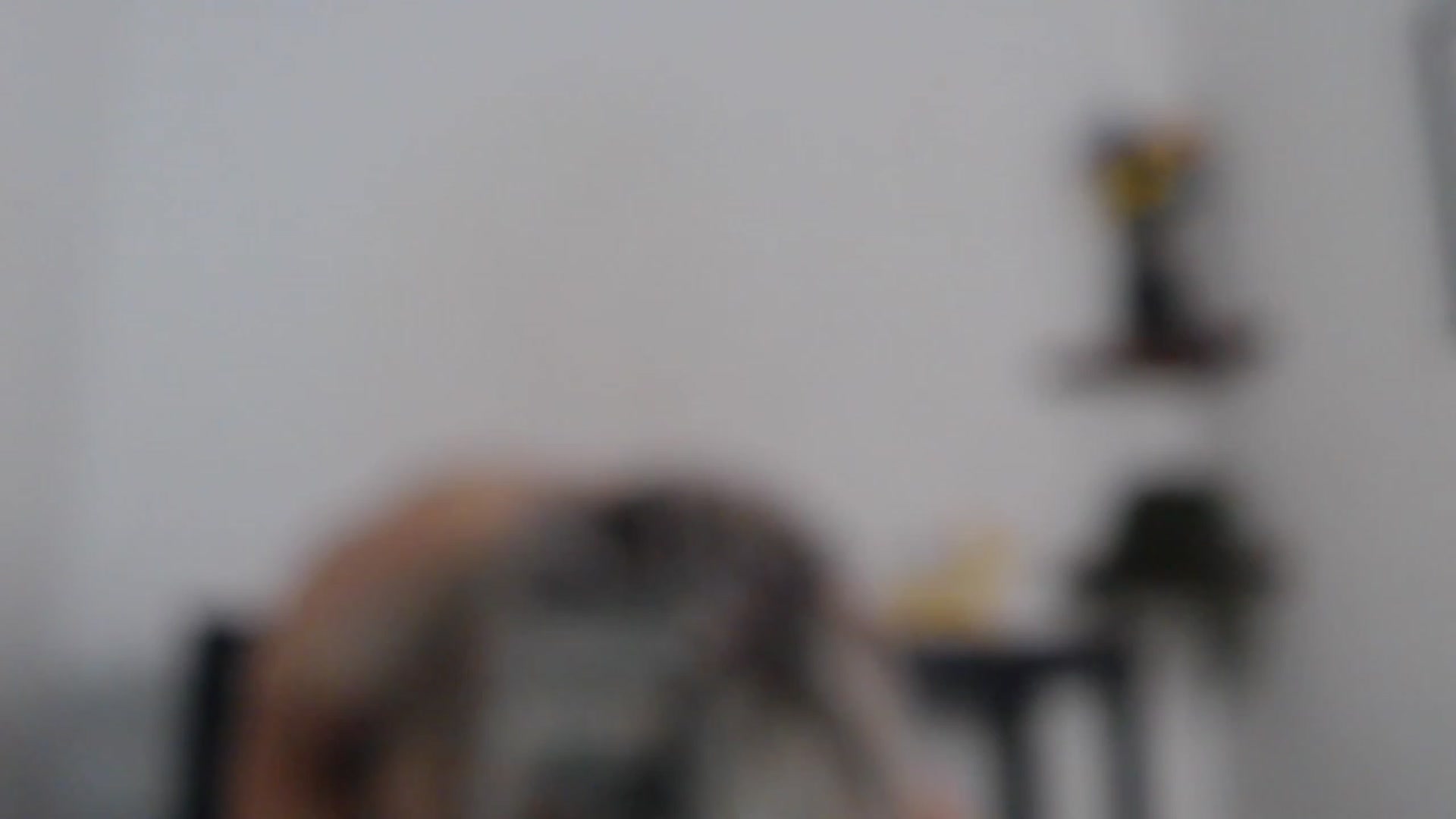Gallery image thumbnail from English_rose_'s myfreecams stream on, 08/13/2023, 12:38 image 2 of 20