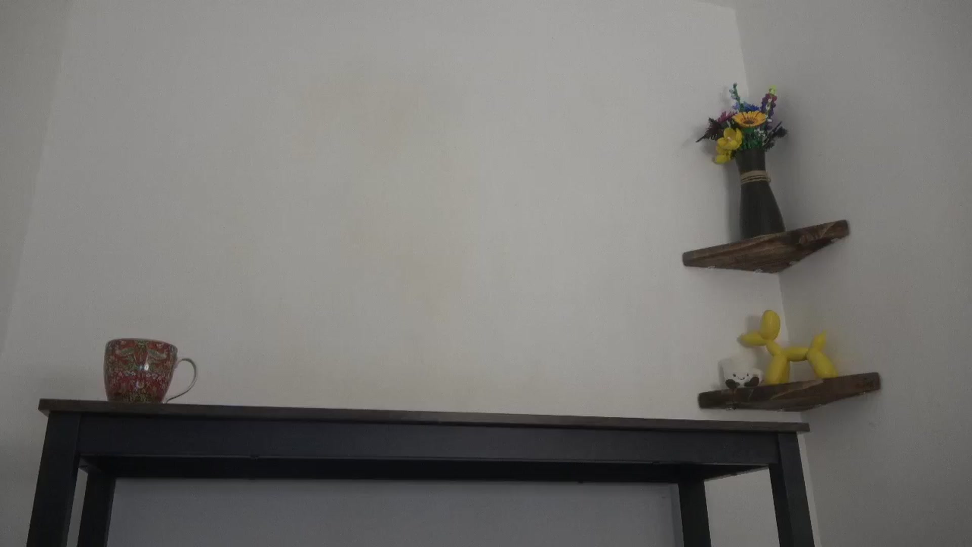 Gallery image thumbnail from English_rose_'s myfreecams stream on, 04/23/2025, 12:44 image 12 of 20