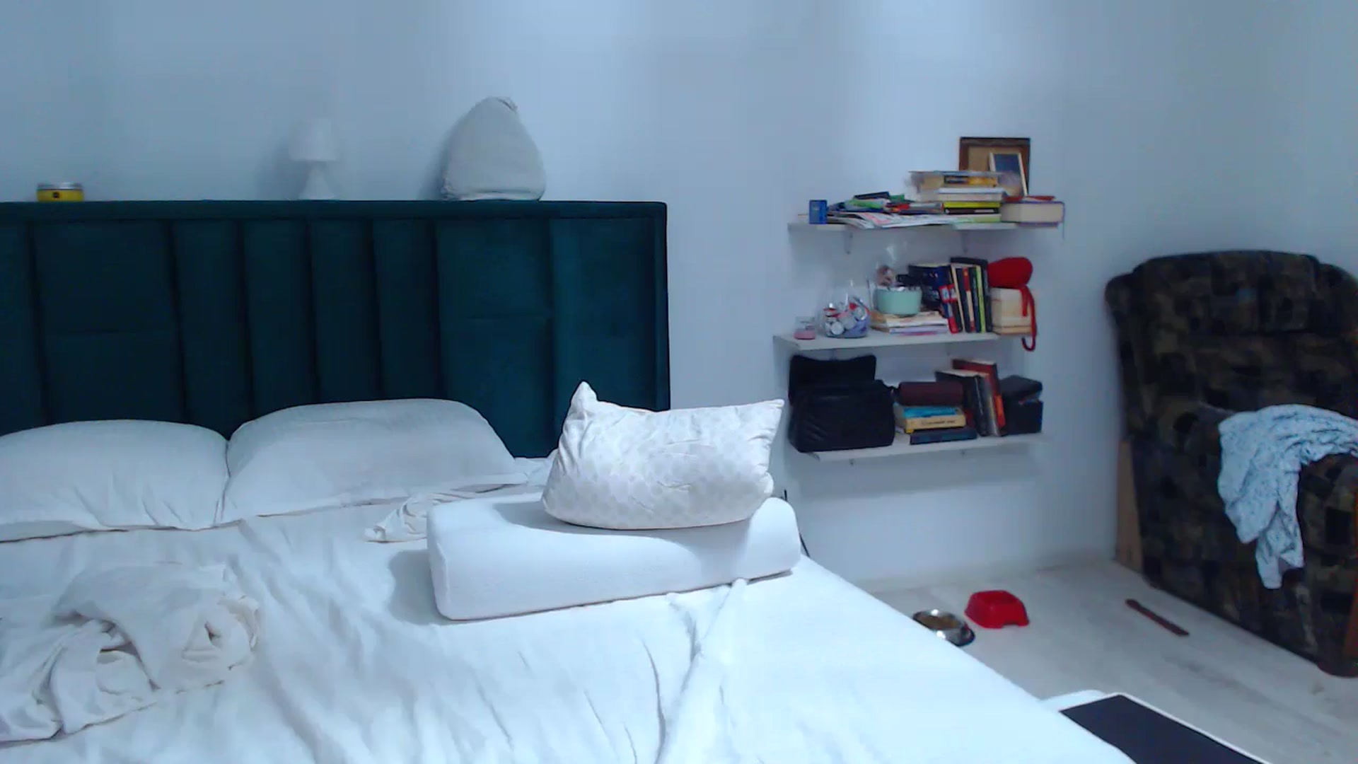 Gallery image thumbnail from EnioNichols's myfreecams stream on, 08/31/2024, 17:08 image 19 of 20