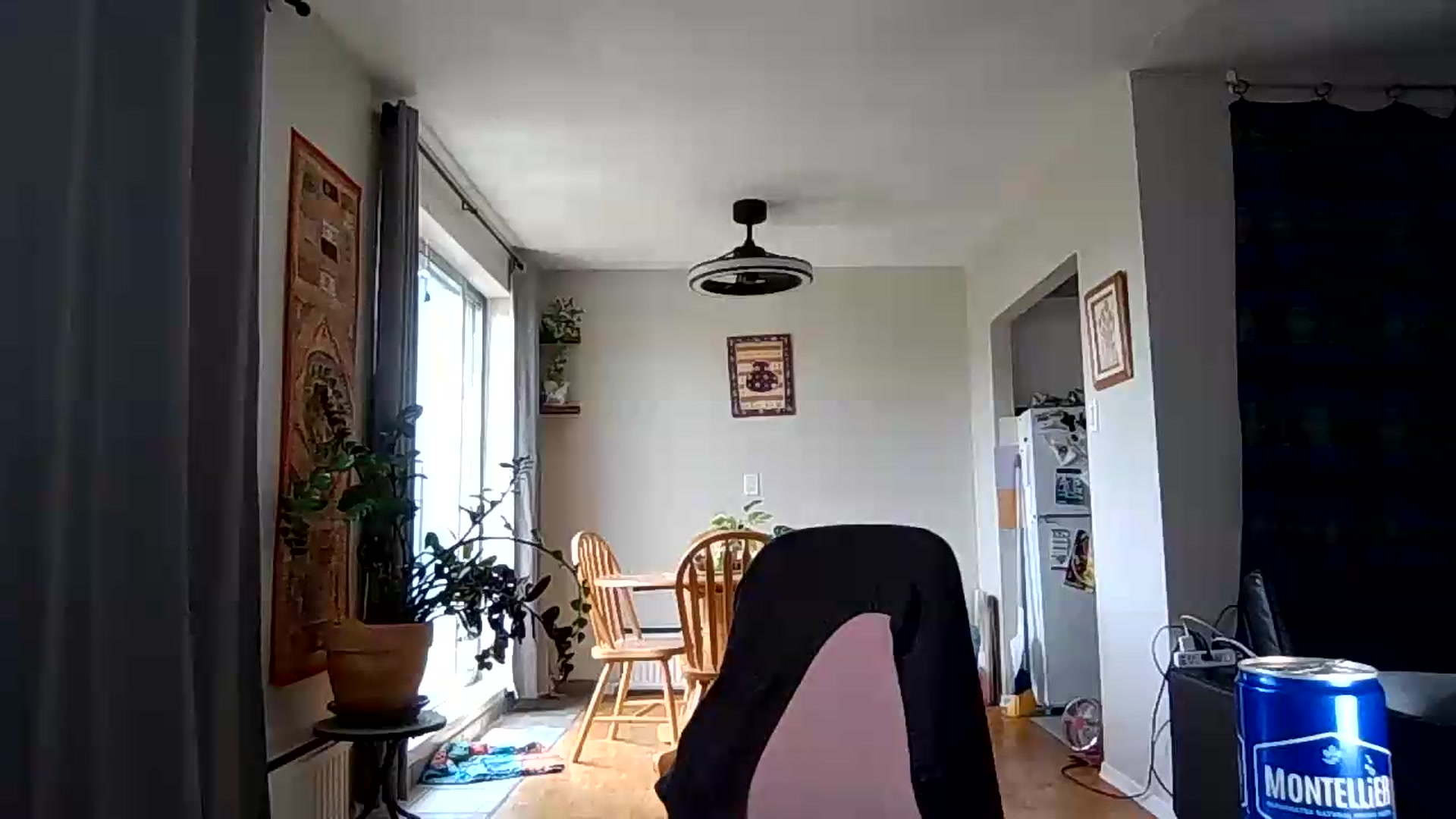 Gallery image thumbnail from EnticingLilly's myfreecams stream on, 07/19/2026, 18:18 image 18 of 20